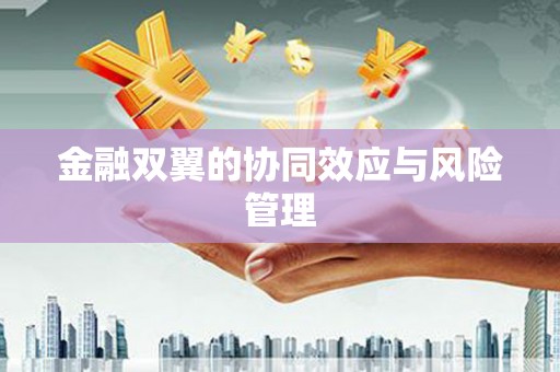 舟山新区金融双翼的协同效应与风险管理