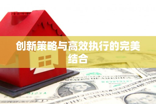 舟山新区创新策略与高效执行的完美结合