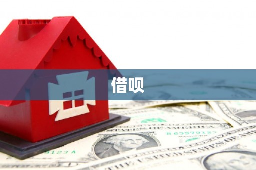 舟山新区借呗