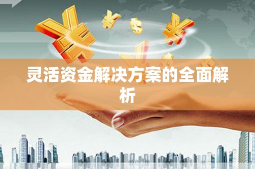 舟山新区灵活资金解决方案的全面解析