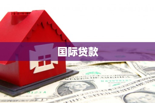 舟山新区国际贷款